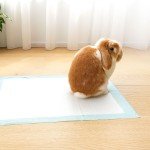 tapis absorbant pour lapin-alese