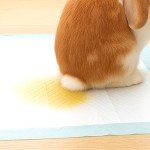 tapis de sol pour lapin alese