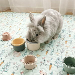 stacking cups lapin
