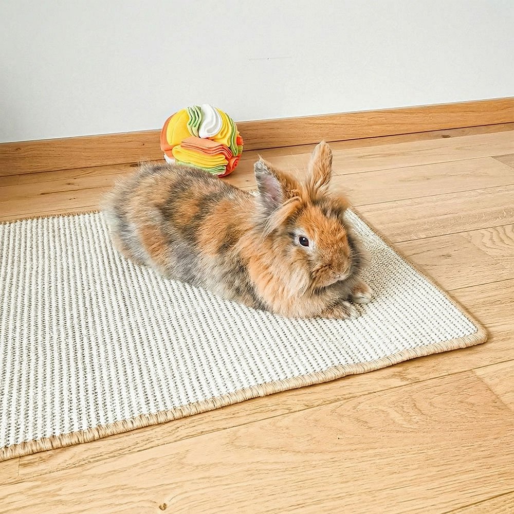 tapis de sol lapin naturel