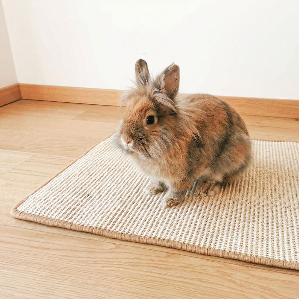 tapis pour lapin nain naturel