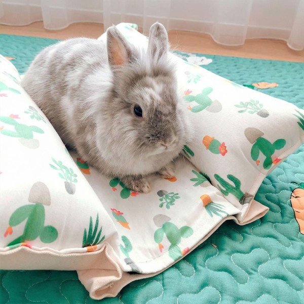 Tapis rafraichissant lapin