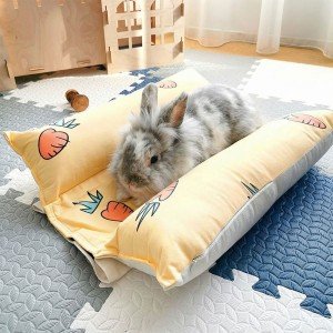 lit pour lapin rafraichissant