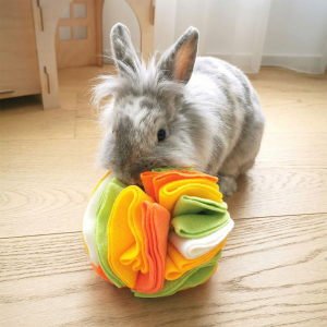 jouet pour lapin fouille