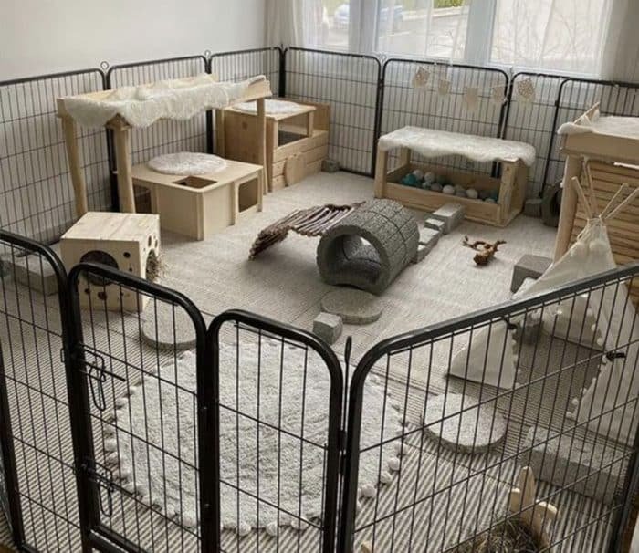 Enclos Lapin Comment Am nager Son Espace Mon Lapin Nain