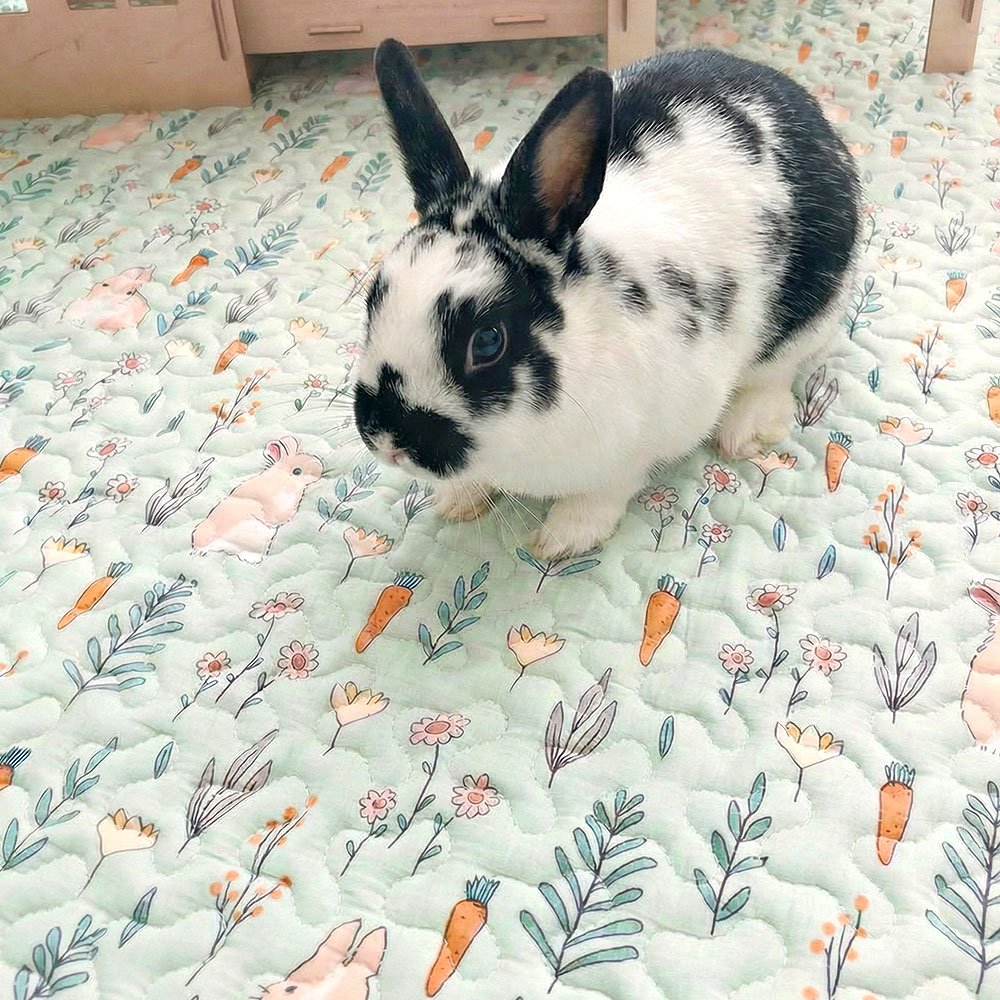 Tapis lapin enclos