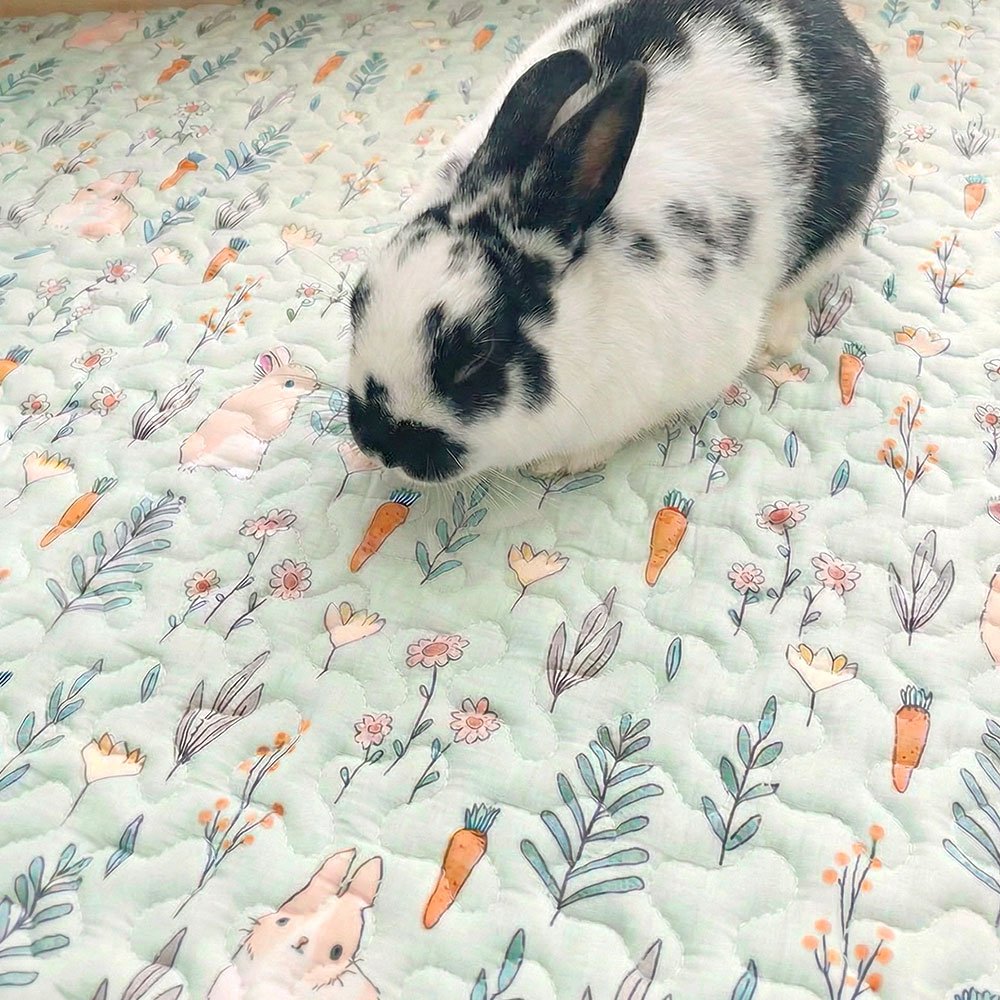 Tapis pour lapin sol