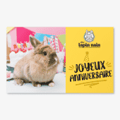 carte-cadeau-anniversaire-mon-lapin-nain