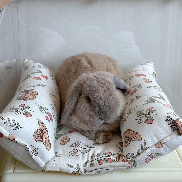 Lit pour lapin