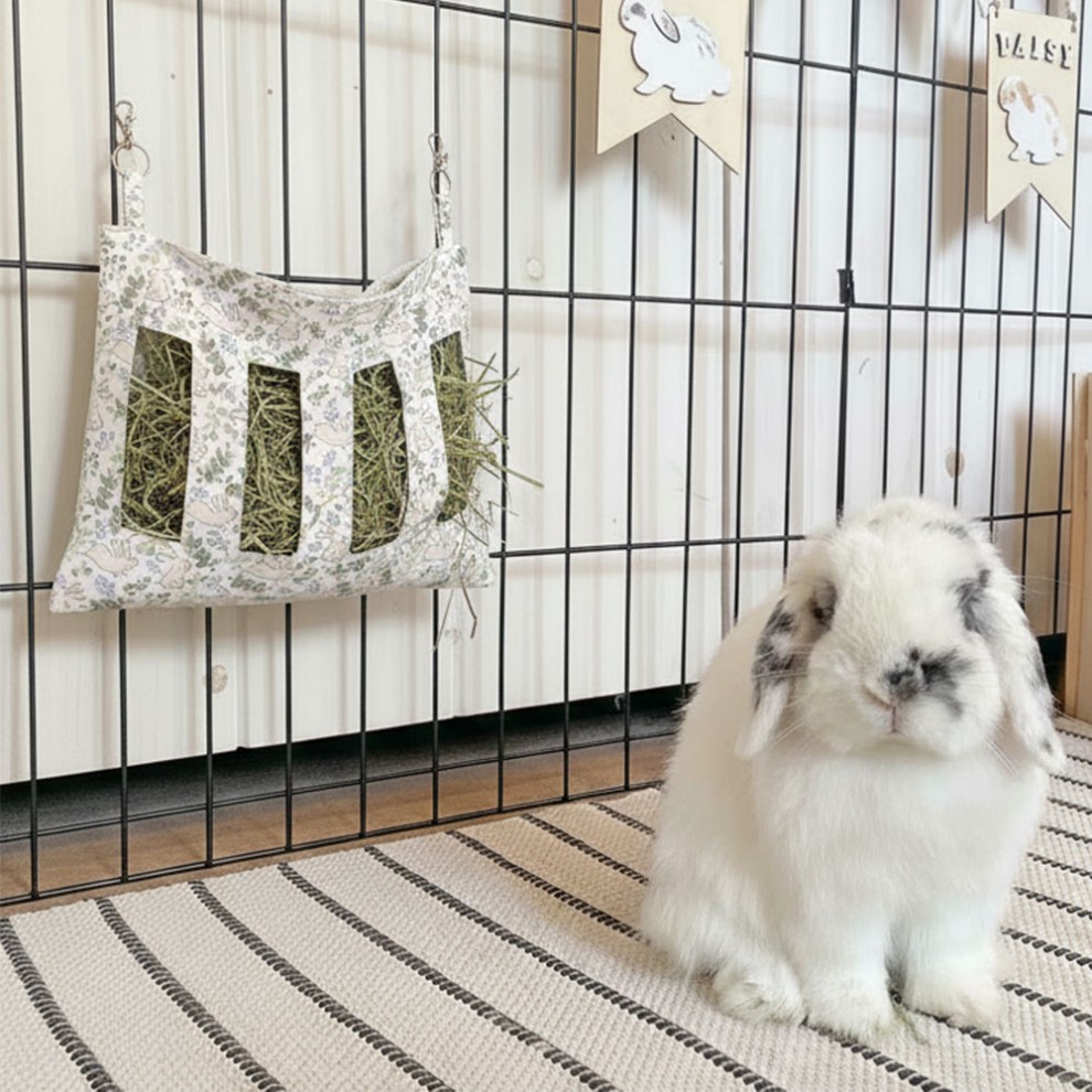 Durée de vie lapin Combien de temps vit un lapin — free download