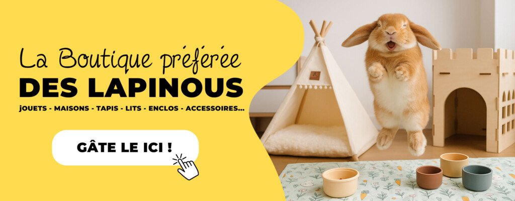 Mon Lapin Nain Boutique